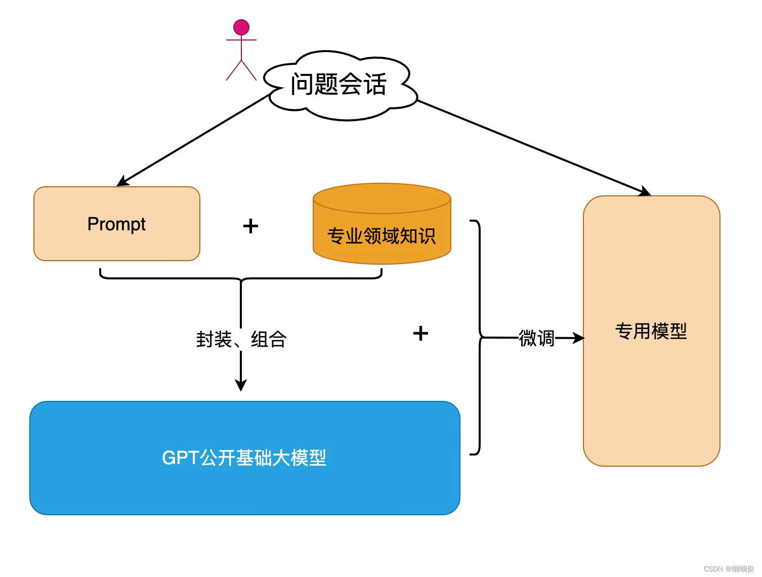 以OpenAI的API为例，让大模型支持自己专业领域的知识，有两种方式：微调模型和封装到Prompt.png