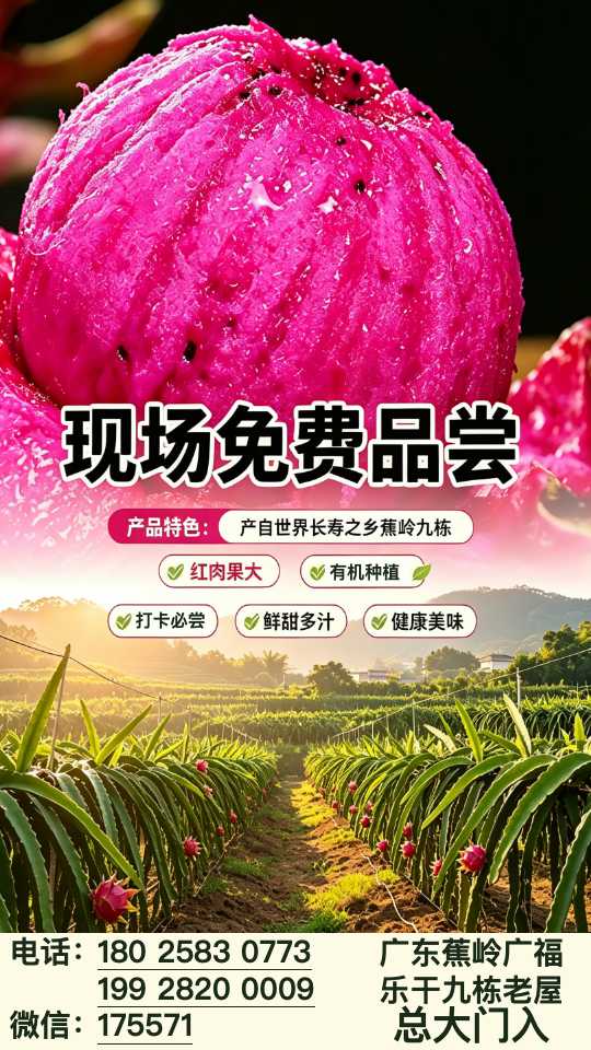 火龙果海报.jpg