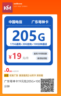 电信广东粤神卡19元包205G+100分钟（深圳版）
